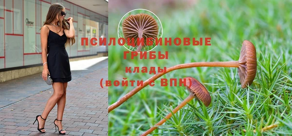 а пвп мука Карпинск